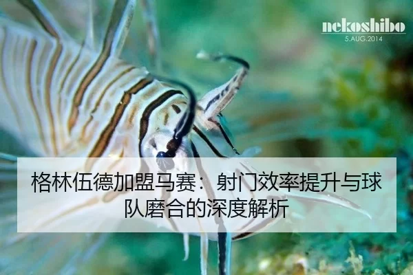 格林伍德加盟马赛：射门效率提升与球队磨合的深度解析