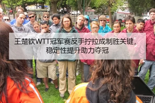 王楚钦WTT冠军赛反手拧拉成制胜关键，稳定性提升助力夺冠